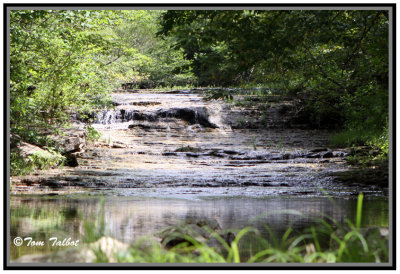 Coonville Creek Waterfall (II)