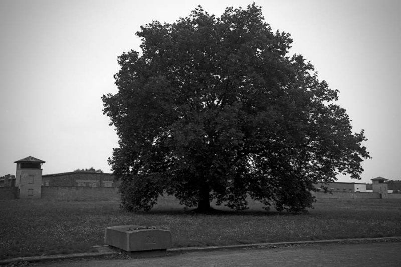 1029_2008-08_F100_PanF5004.jpg