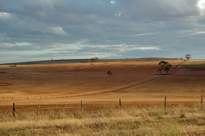 DSC_8779.jpg