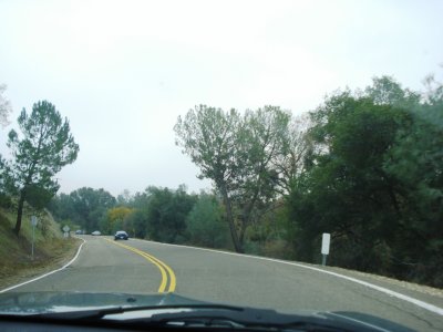 First Drive 2009