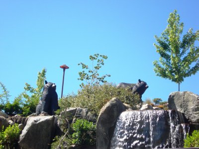 DSC01190.JPG