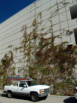 DSC08163.jpg