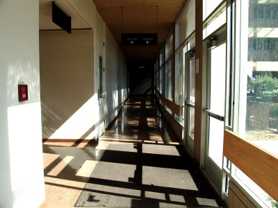 DSC08159.jpg