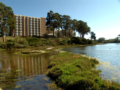 DSC08155.jpg