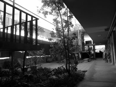 DSC08132.jpg