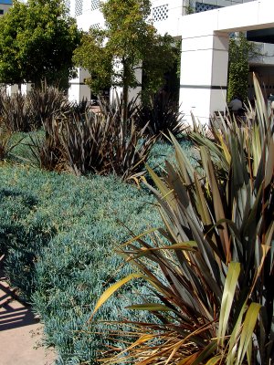 DSC08113.jpg