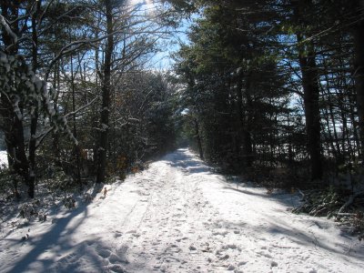 021207-100648.JPG