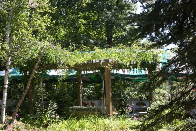 20100828-1149-5301D.JPG