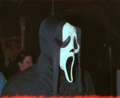 Image22a.jpg