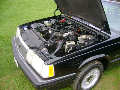 DSC06767.JPG