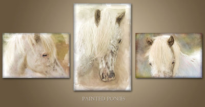 painted ponies
