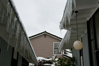 Icicles at West Bay Drive