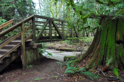 McLane Nature Trail