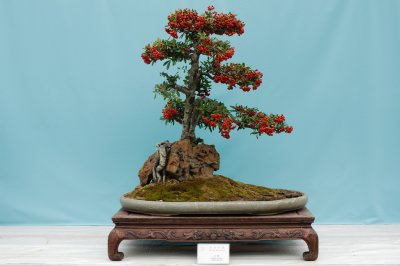 Potted Landscape (2)