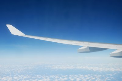 Wing & Winglet