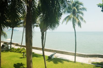 Eastern & Oriental Hotel (Coast & Palm Trees)