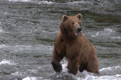 Image046Katmai.jpg