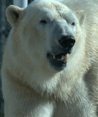 Image156Alaska.jpg