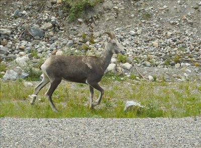 BC07191093LAND123.jpg