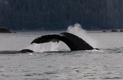 JUNEAU-12.jpg