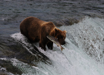 KATMAI-109.jpg