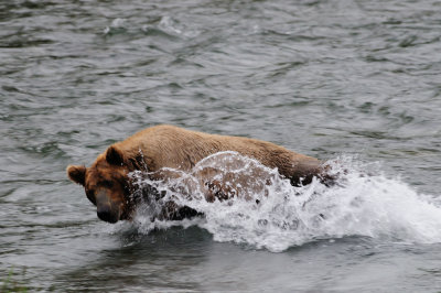 KATMAI-15.jpg