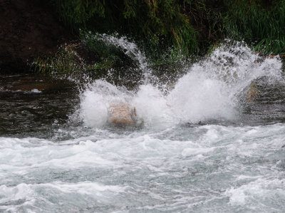 KATMAI-62.jpg