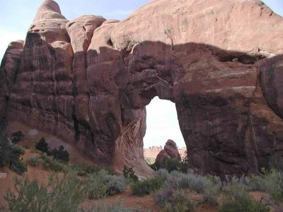Arches-NP-Pine-Tree-Arch.jpg