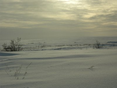 2008-February AK Nome