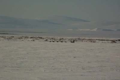 g1/92/709392/3/93845300.XrpvEHCA.jpg