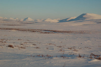 Looking North along the Nome River.jpg