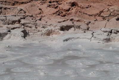mudpots.jpg