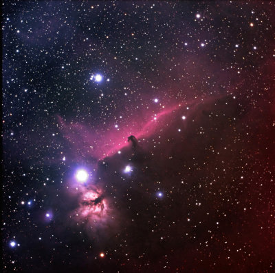 Horsehead Nebula Region 