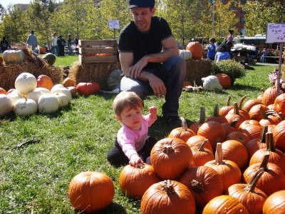 pumpkin patch