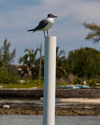 Eleuthera April 2008