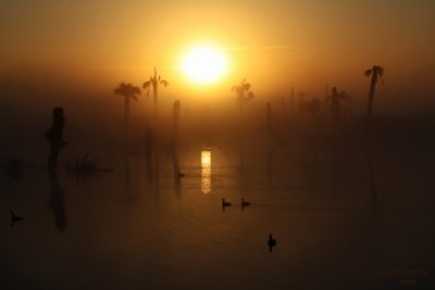 Sunrise over Viera Wetlands. Florida