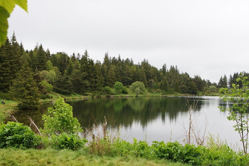 53_MG_7684_servieres-paysage_redi.jpg