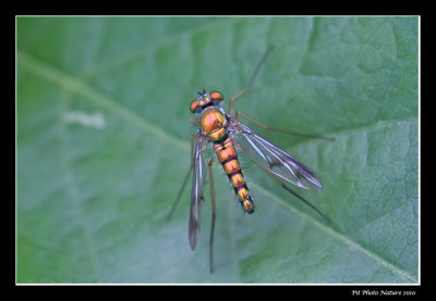 g1/92/749792/3/126142802.sVRx3uhN.jpg