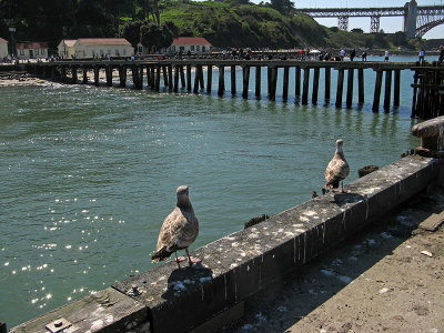 g1/92/758692/3/111052124.LyV7iSdi.jpg