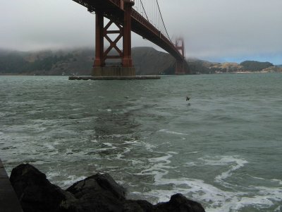g1/92/758692/3/115303534.LE8u0aA8.jpg