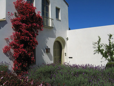 Seacliff garden views