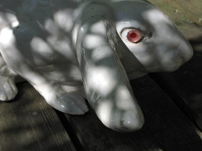 White Rabbit<br />0771