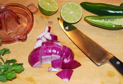 Salsa ingredients2451