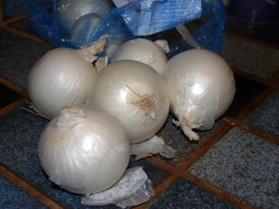 Onions 2479