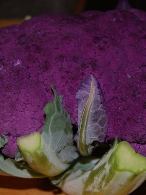 Purple cauliflower2507