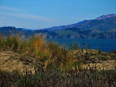 *10*Dunes, Bay and Marin Headlands2007