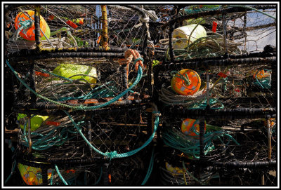 Lobster Traps?