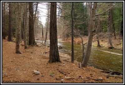 Biotope for E. e. platensis and T. torosa sierrae