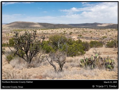 Brewster County, Texas