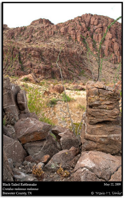 West Texas May 2009